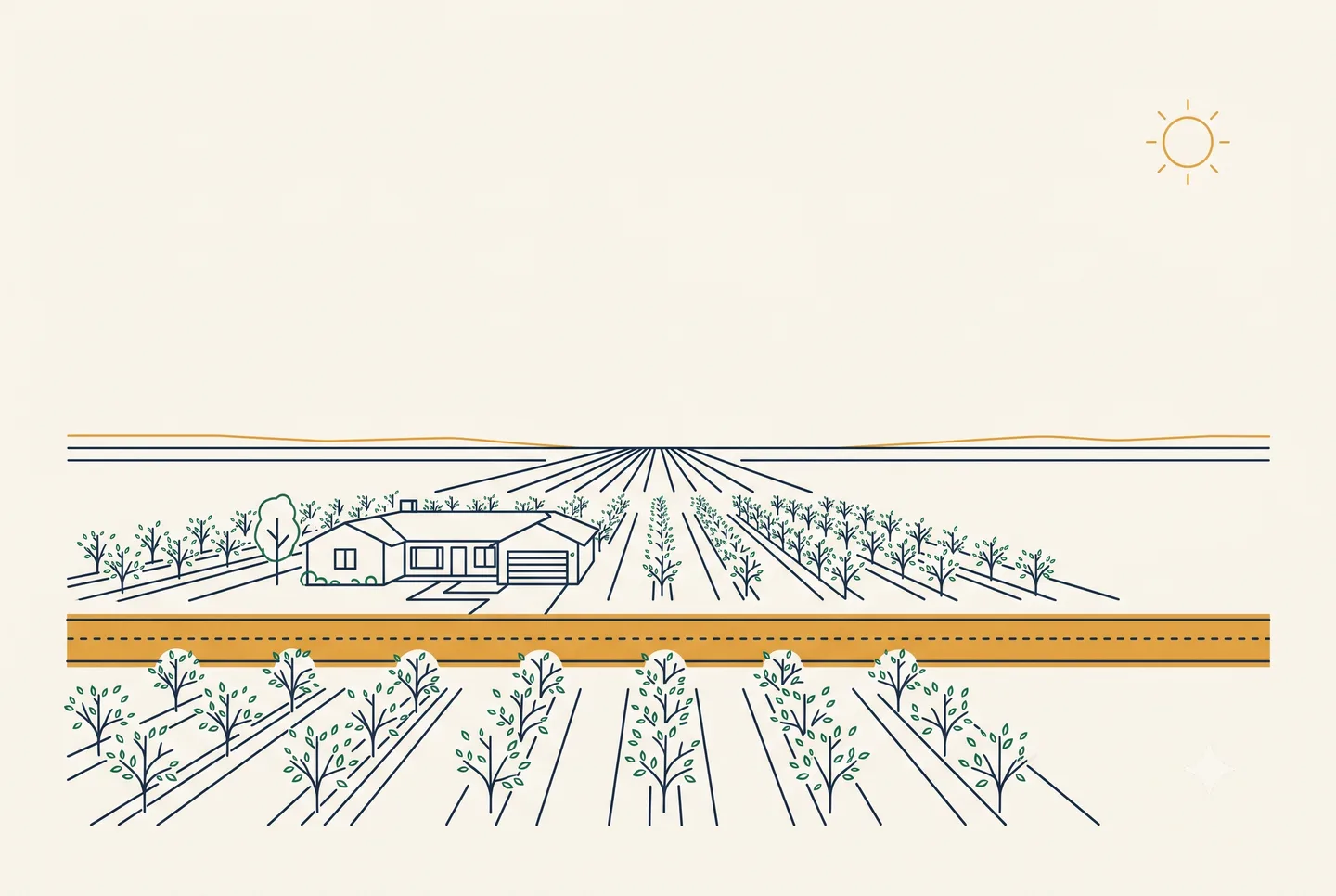 Ranch house among Central Valley orchard rows along the highway